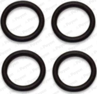 Payen HA5031 - Garnitura, galerie admisie / evacuare aaoparts.ro