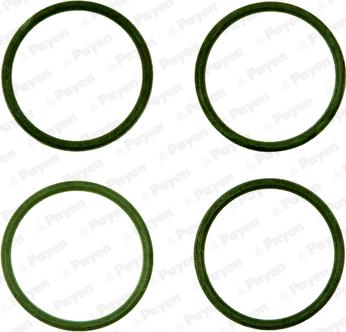 Payen HA5028 - Set garnituri, galerie admisie aaoparts.ro