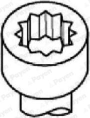 Payen HBS545 - Set surub, chiulasa aaoparts.ro