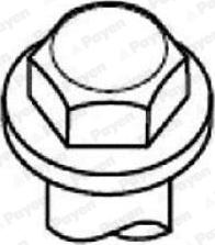 Payen HBS529 - Set surub, chiulasa aaoparts.ro