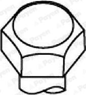 Payen HBS549 - Set surub, chiulasa aaoparts.ro