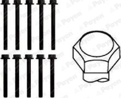 Payen HBS051 - Set surub, chiulasa aaoparts.ro