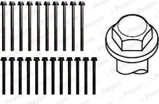 Payen HBS011 - Set surub, chiulasa aaoparts.ro