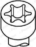 Payen HBS053 - Set surub, chiulasa aaoparts.ro