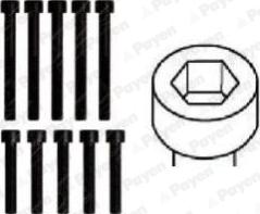Payen HBS161 - Set surub, chiulasa aaoparts.ro