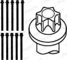 Payen HBS102 - Set surub, chiulasa aaoparts.ro