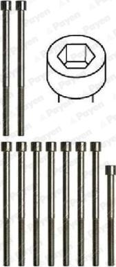 Payen HBS173 - Set surub, chiulasa aaoparts.ro