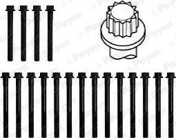 Payen HBS315 - Set surub, chiulasa aaoparts.ro