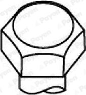 Payen HBS287 - Set surub, chiulasa aaoparts.ro