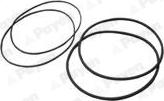 Payen HL5378 - Set garnituri, bucsa cilindru aaoparts.ro