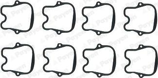 Payen HM5397 - Set garnituri, Capac supape aaoparts.ro