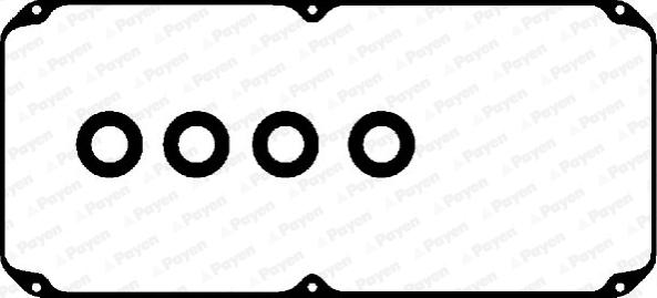 Payen HM5239 - Set garnituri, Capac supape aaoparts.ro