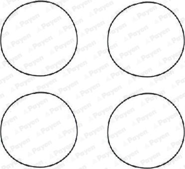 Payen HR564 - Set garnituri, bucsa cilindru aaoparts.ro