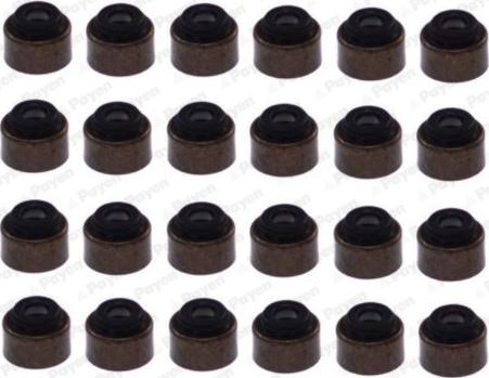 Payen HR5094 - Set garnituri, ax supape aaoparts.ro