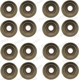 Payen HR5046 - Set garnituri, ax supape aaoparts.ro