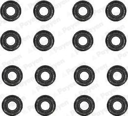 Payen HR5088 - Set garnituri, ax supape aaoparts.ro