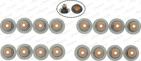 Payen PA6094 - Etansare, supape aaoparts.ro