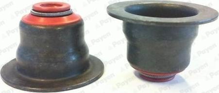 Payen HR5119 - Set garnituri, ax supape aaoparts.ro