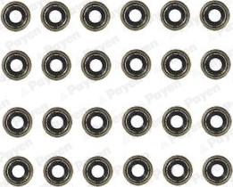 Payen HR5118 - Set garnituri, ax supape aaoparts.ro