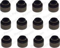 Payen HR5135 - Set garnituri, ax supape aaoparts.ro