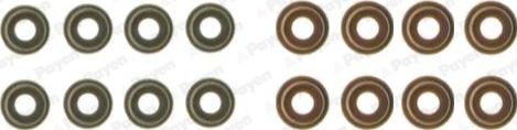 Payen HR5136 - Set garnituri, ax supape aaoparts.ro