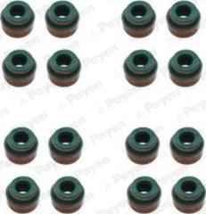 Payen HR5138 - Set garnituri, ax supape aaoparts.ro