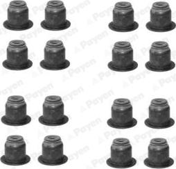 Payen HR5124 - Set garnituri, ax supape aaoparts.ro