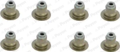 Payen HR5120 - Set garnituri, ax supape aaoparts.ro