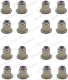 Payen HR5122 - Set garnituri, ax supape aaoparts.ro
