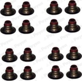 Payen HR5127 - Set garnituri, ax supape aaoparts.ro