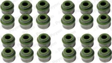 Payen HR800 - Set garnituri, ax supape aaoparts.ro