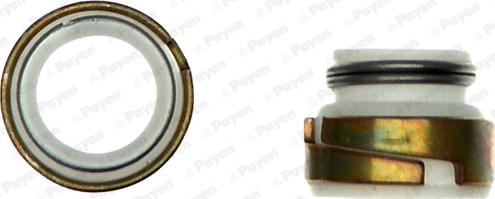 Payen HR300 - Set garnituri, ax supape aaoparts.ro