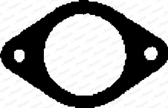 Payen JB868 - Garnitura, galerie admisie aaoparts.ro