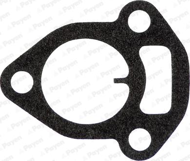 Payen JC140 - Garnitura, galerie admisie aaoparts.ro