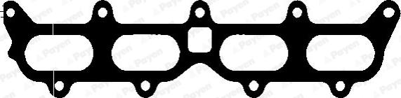 Payen JD411 - Garnitura, galerie admisie aaoparts.ro