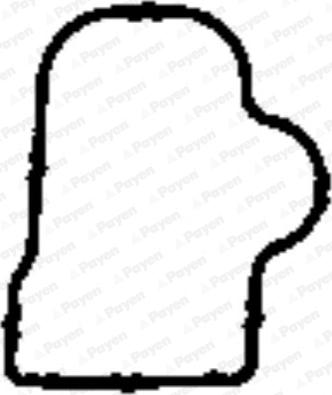 Payen JD5904 - Garnitura, galerie admisie aaoparts.ro