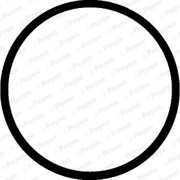 Payen JD5412 - Garnitura, galerie admisie aaoparts.ro