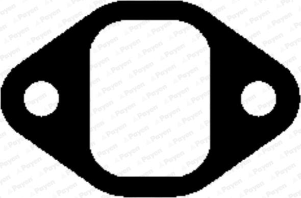 Payen JD5851 - Garnitura, galerie evacuare aaoparts.ro