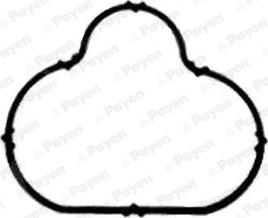 Payen JD5833 - Garnitura, galerie admisie aaoparts.ro