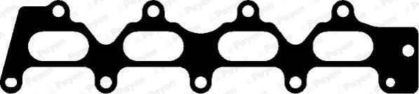 Payen JD5393 - Garnitura, galerie admisie aaoparts.ro