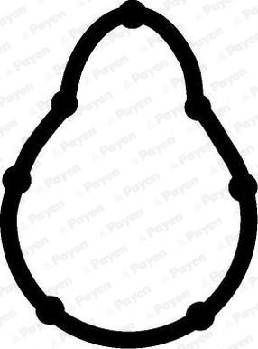 Payen JD5315 - Garnitura, galerie admisie aaoparts.ro