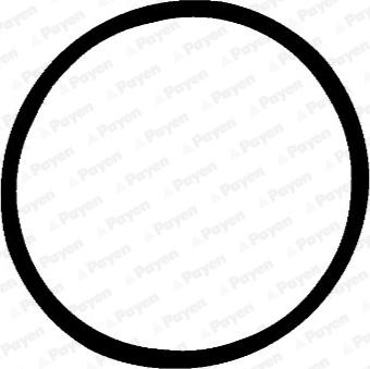 Payen JD5378 - Garnitura, galerie admisie aaoparts.ro