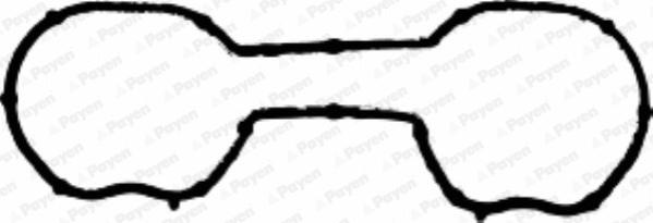 Payen JD5290 - Garnitura, galerie admisie aaoparts.ro