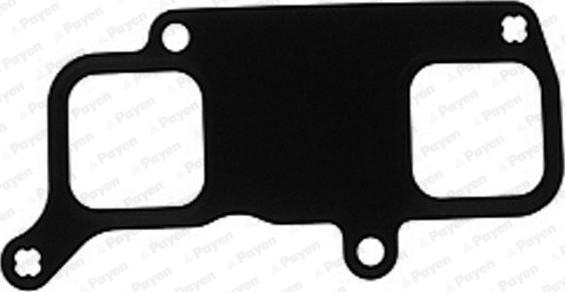 Payen JD5283 - Garnitura, galerie admisie aaoparts.ro