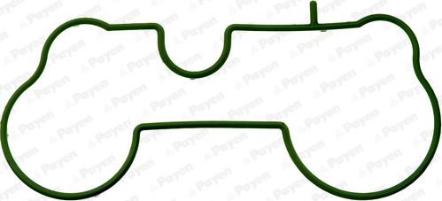 Payen JD5226 - Garnitura, galerie admisie aaoparts.ro