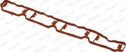 Payen JD6042 - Garnitura, galerie admisie aaoparts.ro