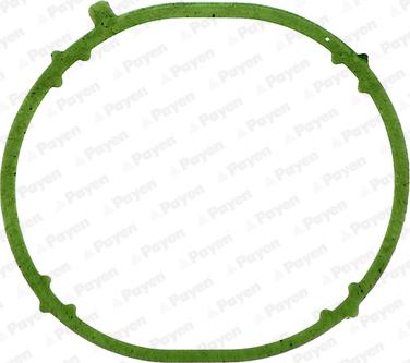 Payen JD6031 - Garnitura, galerie admisie aaoparts.ro