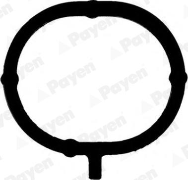 Payen JD6191 - Garnitura, galerie admisie aaoparts.ro