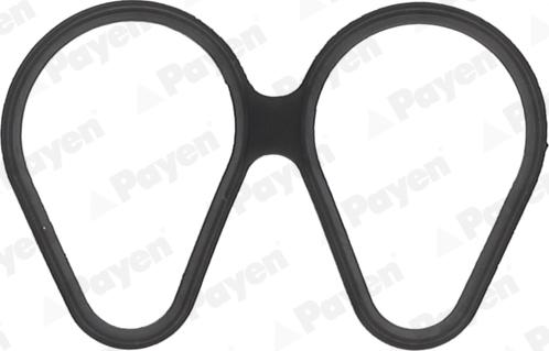 Payen JD6161 - Garnitura, galerie admisie aaoparts.ro