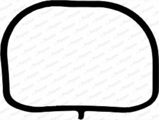 Payen JD6117 - Garnitura, galerie admisie aaoparts.ro